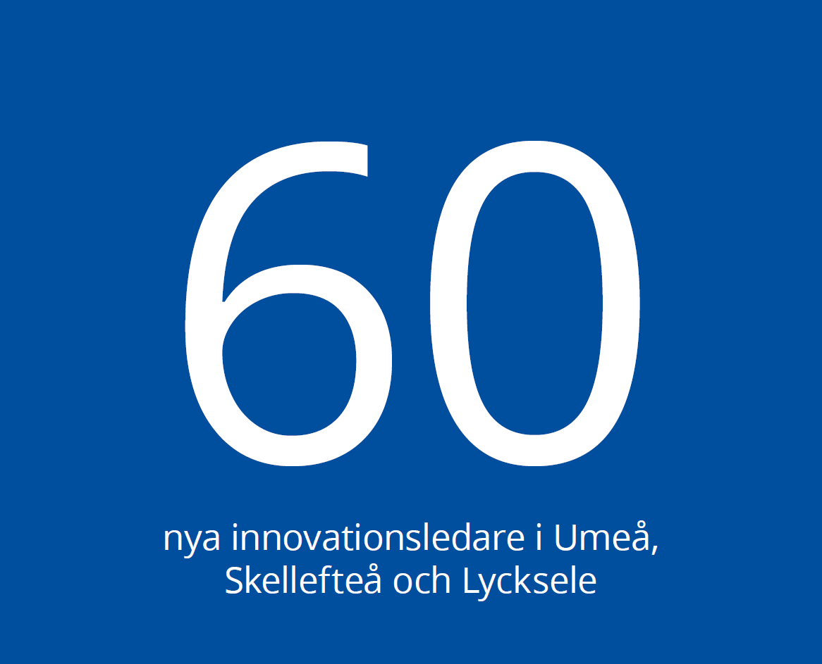 Illustration: 60 nya innovationsledare i Umeå, Skellefteå och Lycksele.