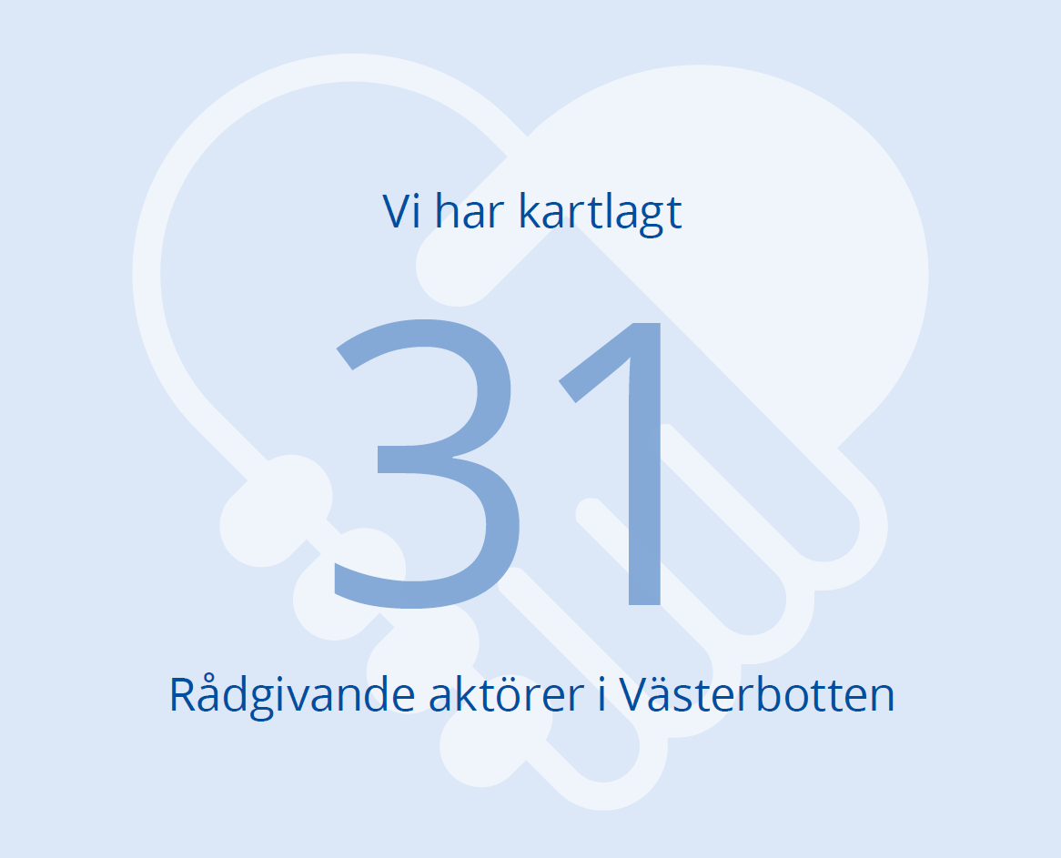 Illustration: Vi har kartlagt 31 rådgivande aktörer i Västerbotten.